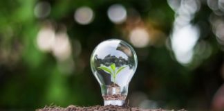 Risparmio energetico, Vicenza: iniziative anti sprechi nella domenica ecologica del 20 febbraio