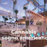 Cannabis, François-Marie Arouet (Aduc): torna il sogno americano? Cannabis e il sogno americano
