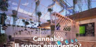 Cannabis, François-Marie Arouet (Aduc): torna il sogno americano? Cannabis e il sogno americano