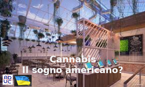 Cannabis e il sogno americano