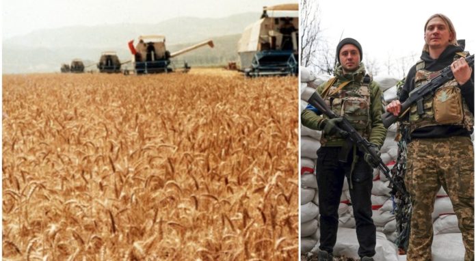Crisi aziende agricole per la guerra Russia - Ucraina