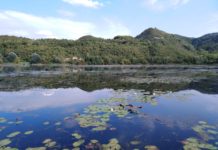 Lago di Fimon ad Arcugnano vicino Vicenza: immersi nella natura a due passi dalla città Il Lago di Fimon durante la bella stagione
