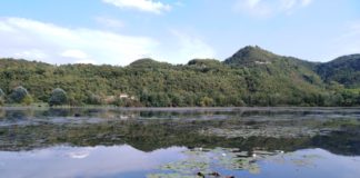 Lago di Fimon ad Arcugnano vicino Vicenza: immersi nella natura a due passi dalla città Il Lago di Fimon durante la bella stagione