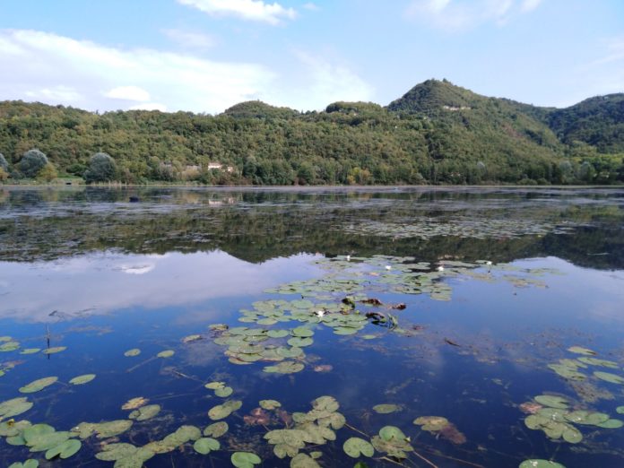 Il Lago di Fimon durante la bella stagione