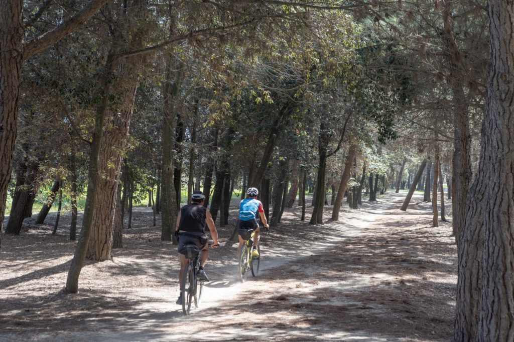 Le pinete di Cervia sono attraversabili in bicicletta. Foto: pag. fb @visitcervia