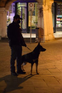 Pattuglia cinofili della Polizia di Stato di Padova in azione per disposizione del questore di Vicenza Sartori