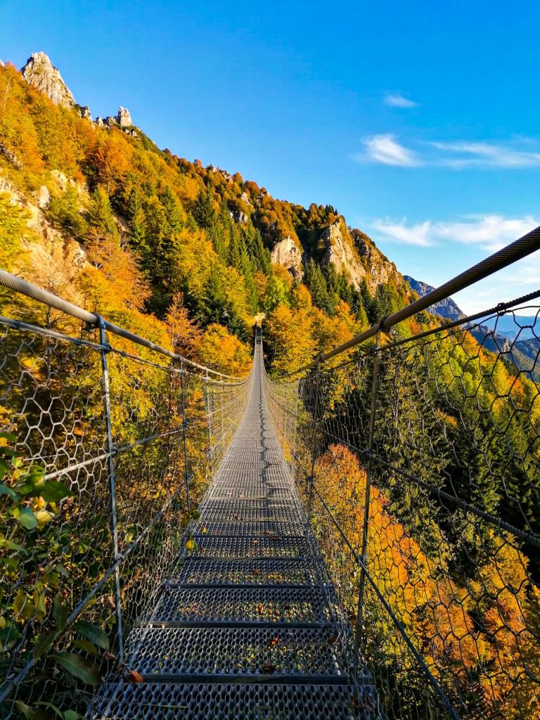 Il Ponte Tibetano in autunno. Dalla pag. fb di Rifugio Campogrosso