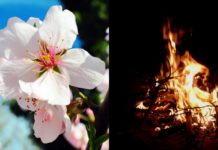 I riti di Primavera e San Giuseppe in Abruzzo: a Rocca Pia falò di frasche e ginepri, a Monteferrante le Tavolate di San Giuseppe e poi… Primavera