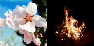 I riti di Primavera e San Giuseppe in Abruzzo: a Rocca Pia falò di frasche e ginepri, a Monteferrante le Tavolate di San Giuseppe e poi… Primavera