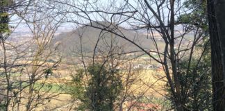 Colli Euganei, Sentiero del Giubileo: una passeggiata “ad anello” intorno all’Abbazia di Praglia