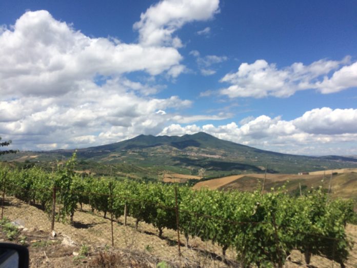 Basilicata Calabria: vigneto con Monte Vulture, credits Wikipedia