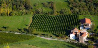 Il 27 marzo, prima domenica di primavera dedicata ai Colli Veneti tra sapori, saperi e piaceri Colli veneti: tra pianura e montagne: le colline del Veneto.