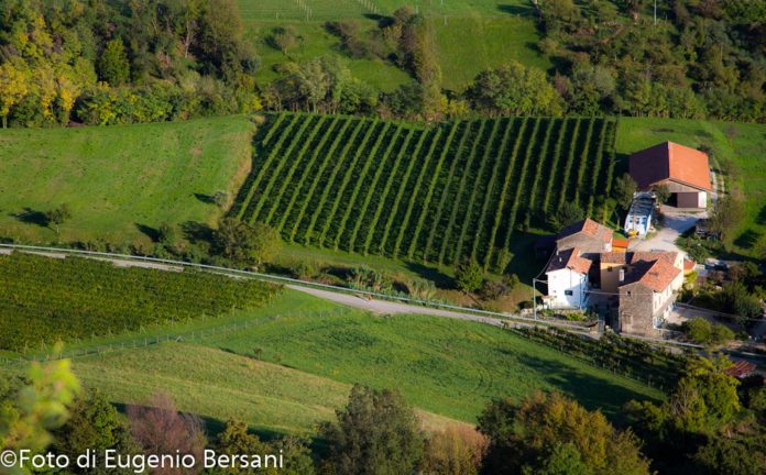 Colli veneti: tra pianura e montagne: le colline del Veneto.