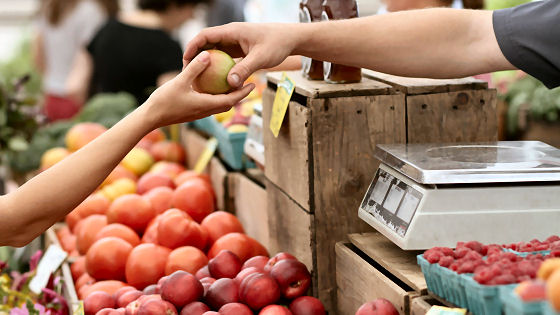 Rilevazione dei prezzi al consumo