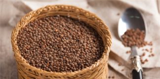 Prodotti tipici regionali: la lenticchia di Santo Stefano di Sessanio in Abruzzo La lenticchia di Santo Stefano di Sessanio