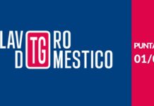 Sui Social primo TG Lavoro Domestico di Domina, Associazione Nazionale Famiglie Datori di Lavoro Domestico