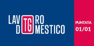 Sui Social primo TG Lavoro Domestico di Domina, Associazione Nazionale Famiglie Datori di Lavoro Domestico