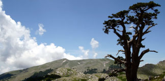 Parco Nazionale del Pollino in Calabria: scopri borghi incantati e un territorio… da record