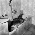 Il ritrovamento dei cadaveri di Domenico Santangelo e Gemma Cenname, già in stato di decomposizione; nella stessa vasca venne rinvenuto anche il corpicino del loro cagnolino, Dick.