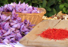 Zafferano dell’Aquila: l’oro rosso abruzzese Zafferano dell'Aquila.