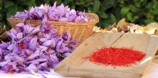 Zafferano dell’Aquila: l’oro rosso abruzzese Zafferano dell'Aquila.