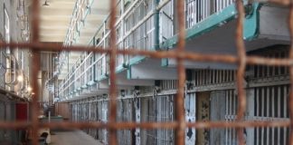 Sovraffollamento carcerario, Mauriello (pres. Meritocrazia Italia): urge nuovo regolamento di esecuzione dell’ordinamento penitenziario Sovraffollamento carcerario e ordinamento penitenziario