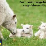 Carnivori o vegetariani? François-Marie Arouet (Aduc): porre domanda a sen. Monica Cirinnà o a presidente Coldiretti, Ettore Prandini Carnivori