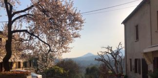 Arquà Petrarca: il borgo di Petrarca, delle giuggiole e degli olivi sui Colli Euganei