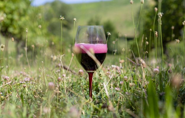 Lambrusco, credits Vinitaly