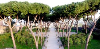 Parchi e giardini storici riqualificati con PNRR, da Roma a Vicenza: Valter Mainetti, la loro salvaguardia per il bene della collettività Parchi e giardini di Roma, il Giardino degli Aranci