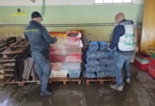 Codevigo, irregolarità sanitarie: guardia di finanza sequestra deposito per la lavorazione dei molluschi codevigo sequestro deposito molluschi