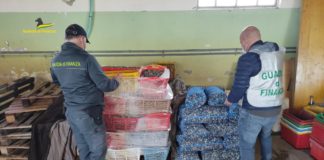 Codevigo, irregolarità sanitarie: guardia di finanza sequestra deposito per la lavorazione dei molluschi codevigo sequestro deposito molluschi
