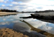 Fiumi del Veneto: avviate operazioni di contrasto ad emergenza idrica Grave di Papadopoli (Piave). Credits: FAI. fiumi del veneto