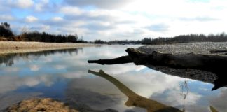 Fiumi del Veneto: avviate operazioni di contrasto ad emergenza idrica Grave di Papadopoli (Piave). Credits: FAI. fiumi del veneto