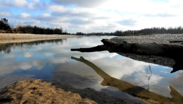 Grave di Papadopoli (Piave). Credits: FAI. fiumi del veneto