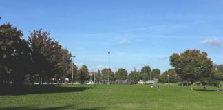 Parchi cittadini di Vicenza, riaprono i bagni e si allunga l’orario di accesso pomeridiano