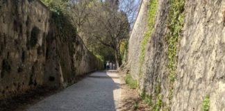 Stradella Valmarana di Vicenza, al via l’allestimento del percorso sensoriale con piante aromatiche