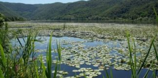 Spostato al Palazzo Opere Sociali il convegno Ecosistema Lago di Fimon 2022