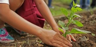 Maltempo a Vicenza, annullate le iniziative all’aperto della domenica di formazione ecologica