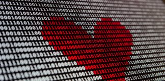 Codici al fianco delle vittime della maxi truffa romantica smascherata dai Carabinieri Codici a fianco vittime truffa romantica