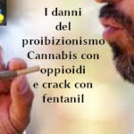 Droghe, i danni del proibizionismo. François-Marie Arouet (Aduc): cannabis con oppioidi e crack con fentanil Droghe