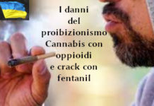 Droghe, i danni del proibizionismo. François-Marie Arouet (Aduc): cannabis con oppioidi e crack con fentanil Droghe
