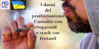 Droghe, i danni del proibizionismo. François-Marie Arouet (Aduc): cannabis con oppioidi e crack con fentanil Droghe