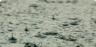 Emergenza Idrica, Walter Mauriello (pres. Meritocrazia Italia): una programmazione in investimenti infrastrutturali non è più rinviabile Emergenza Idrica