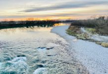 Emergenza idrica in Veneto, Monica Pellegrin (Meritocrazia Italia Veneto): serve cambio di passo Emergenza idrica