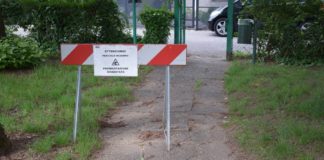 Parco giochi Via Ischia in abbandono e incuria. Spiller, Dalla Rosa e Marobin: “amministrazione di Vicenza vada nei parchi dei quartieri periferici” Incuria parchi come parco giochi di Via Ischia, a Campedello