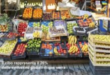 Il cibo rappresenta il 26% delle emissioni globali di gas serra: Primo Mastrantoni (Aduc) su La ragione Il cibo