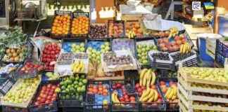 Il cibo rappresenta il 26% delle emissioni globali di gas serra: Primo Mastrantoni (Aduc) su La ragione Il cibo