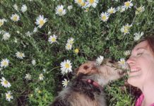 Tutela degli animali in Veneto, Guarda (EV): “Approvato nostro ordine del giorno, NO agli animali-premio!” Tutela animali