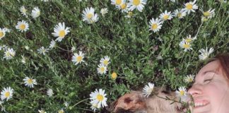 Tutela degli animali in Veneto, Guarda (EV): “Approvato nostro ordine del giorno, NO agli animali-premio!” Tutela animali